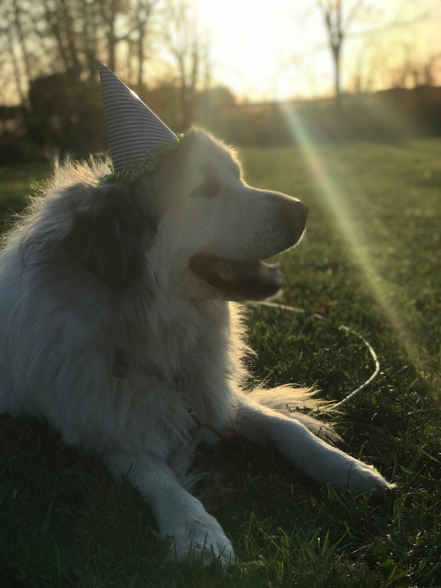 Co na siebie włożyć na roczek?